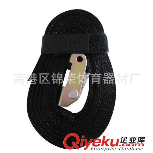 體操器材 廠家專業(yè)生產(chǎn)各款運動吊環(huán) 健身吊環(huán) ABS吊環(huán)原始圖片3