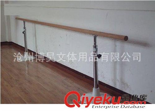 體育器材 廠家供應形體房舞蹈室健身房專用壓腿桿ABS舞蹈把桿tj原始圖片2