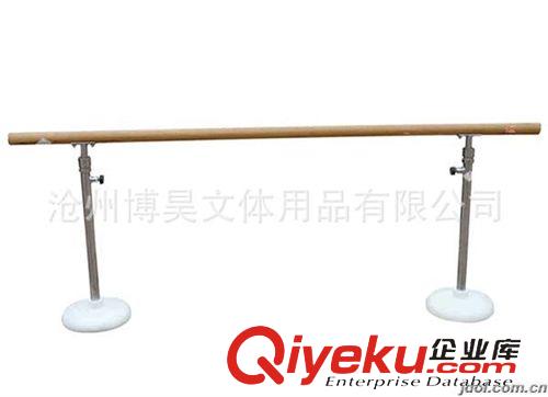 體育器材 廠家供應形體房舞蹈室健身房專用壓腿桿ABS舞蹈把桿tj原始圖片3