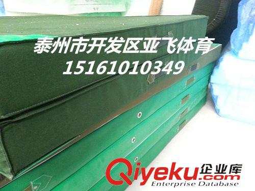 海綿墊/海綿包系列 可折疊帆布發(fā)泡體操墊、仰臥起坐墊2m*1.2m*0.1m