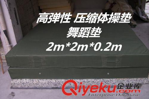海綿墊/海綿包系列 高彈性 壓縮整塊體操墊/舞蹈墊/防滑墊等200cm*200cm*20cm