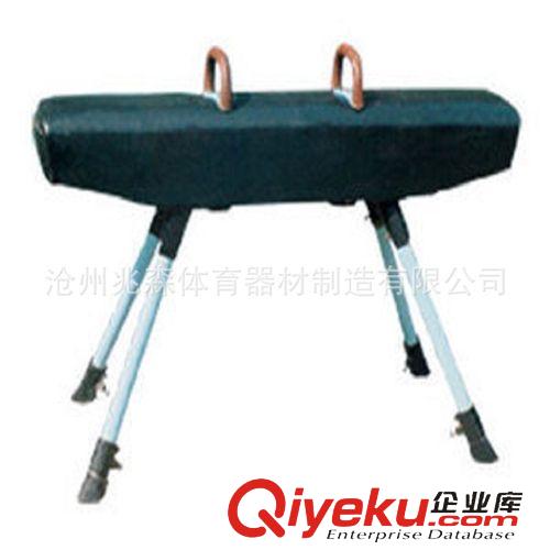 體操用品 批量供應(yīng) ZS-3402  移動(dòng)式純鑄鐵噴涂大底座舞蹈把桿  成套出售