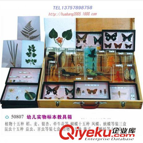 幼兒科學(xué)實(shí)驗(yàn)儀器設(shè)備 幼兒園科學(xué)實(shí)驗(yàn)室 奇妙鏡科普演示箱 探索益智玩具 早教演示教具