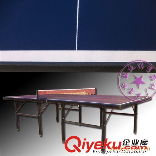 精品推薦 乒乓球臺廠家專業(yè)供應 高密度板紅雙喜乒乓球臺 smc折疊乒乓球臺原始圖片3