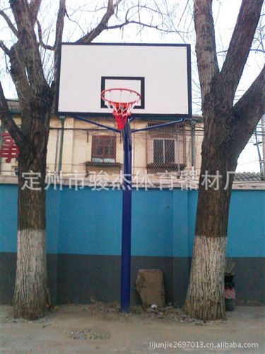 籃球架系列 廠家生產(chǎn) 籃球架系列批發(fā) 固定式獨臂籃球架 品質(zhì)優(yōu)良原始圖片3