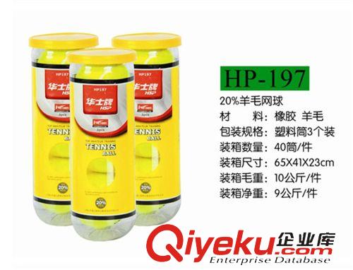 網球 華士199網球羊毛耐打高彈3個筒裝