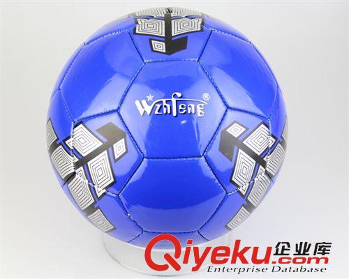 足球 直銷{wz}之風(fēng)機縫PVC車縫5號訓(xùn)練足球 足球批發(fā)世界杯足球用品