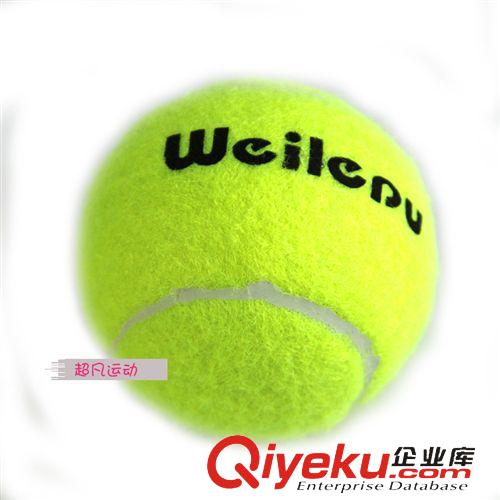 網(wǎng)球類 zptj豪天初學男女士網(wǎng)球拍 專業(yè)單打網(wǎng)球拍 成品網(wǎng)球拍