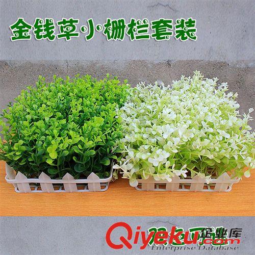 柵欄草20X12 仿真三叉金錢草白色護(hù)欄套裝 陽(yáng)臺(tái)裝飾 tj銷售