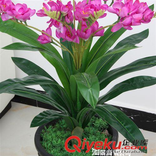 所有仿真植物 廠家直銷仿真植物樹  假花盆栽 仿真花卉 70cm單桿仿真香雪蘭多色原始圖片3