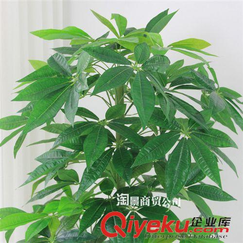 所有仿真植物 仿真植物樹廠家批發(fā)假樹落地擺放盆栽仿真樹 1.6米過膠吉祥發(fā)財樹原始圖片2