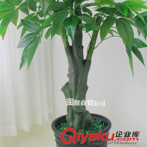 所有仿真植物 仿真植物樹廠家批發(fā)假樹落地擺放盆栽仿真樹 1.6米過膠吉祥發(fā)財樹原始圖片3