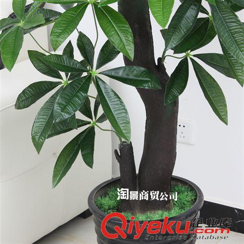 所有仿真植物 淘景仿真盆栽植物批發(fā) 辦公家居裝飾假樹盆景 供1.5米美麗發(fā)財樹原始圖片3