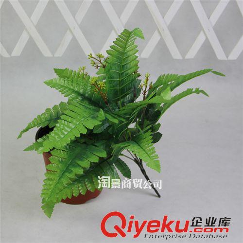 所有仿真植物 廠家直銷仿真植物 辦公室家居小型擺放裝飾批發(fā) 40cm仿真小波絲草原始圖片2
