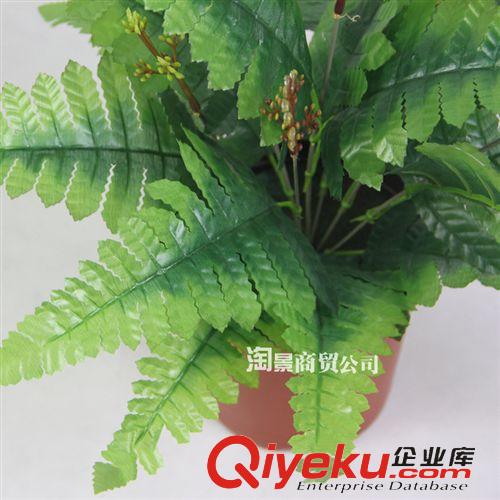 所有仿真植物 廠家直銷仿真植物 辦公室家居小型擺放裝飾批發(fā) 40cm仿真小波絲草原始圖片3