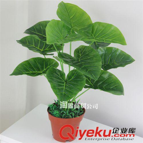 所有仿真植物 供應(yīng)仿真植物盆栽 客廳落地?cái)[放假樹裝飾批發(fā) 45CM12葉小滴水觀音
