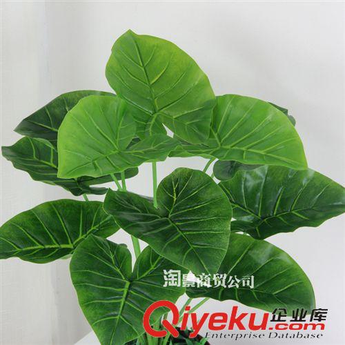 所有仿真植物 供應(yīng)仿真植物盆栽 客廳落地?cái)[放假樹裝飾批發(fā) 45CM12葉小滴水觀音原始圖片2