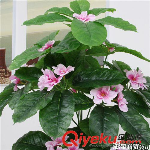 新品上市 大量批發(fā)仿真植物 大型樹 布置場(chǎng)景 工藝品過膠葉 1.7米雅致蘭花原始圖片2
