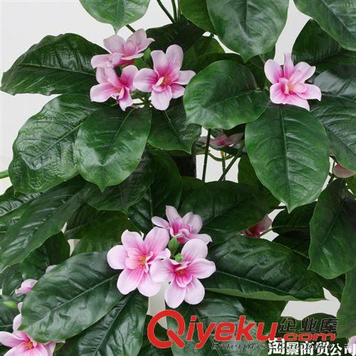 新品上市 大量批發(fā)仿真植物 大型樹 布置場(chǎng)景 工藝品過膠葉 1.7米雅致蘭花原始圖片3