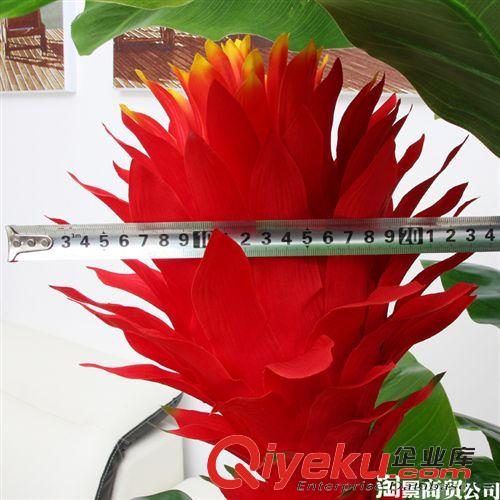新品上市 2014年新品上市 批發(fā)仿真植物 過膠葉1.7米大羅漢3頭特大鴻運(yùn)當(dāng)頭原始圖片2