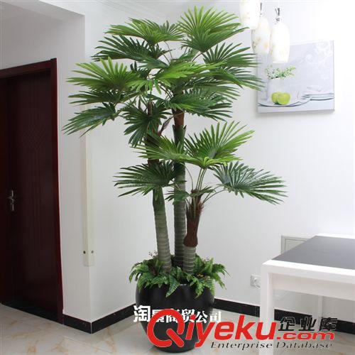 新品上市 2014年新品上市 批發(fā)仿真植物 過膠葉1.7米大羅漢3頭特大鴻運(yùn)當(dāng)頭