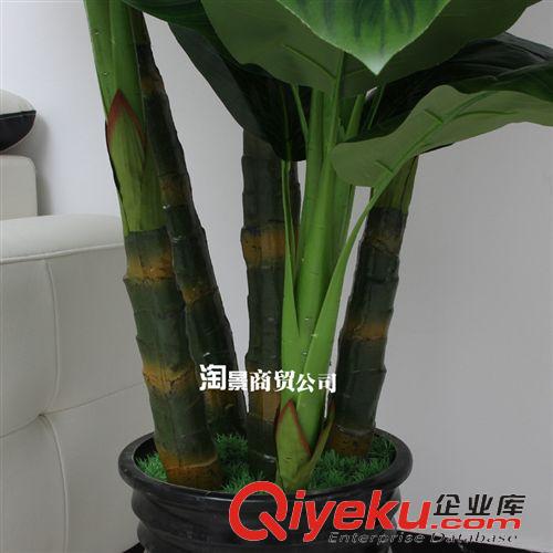 新品上市 批發(fā)仿真植物假樹(shù)園林設(shè)計(jì)大廳酒店裝飾擺放花藝 2.2米5桿天仙配原始圖片3