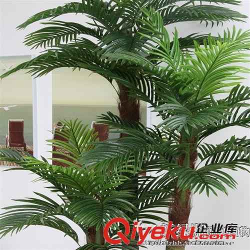 新品上市 批發(fā)大型仿真植物假樹大廳酒店裝飾擺放工藝  2.5米三桿棒棒椰葵原始圖片3