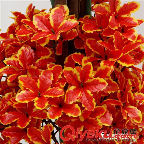 新品上市 批發(fā)仿真植物 家居裝飾盆栽 超大氣仿真 1.8米紅紅火火三層冬青原始圖片3