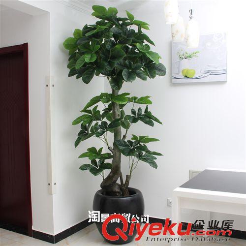 新品上市 新品tj批發(fā)仿真植物 仿真盆景 塑料 過(guò)膠葉 2.1米新古龍福星樹(shù)