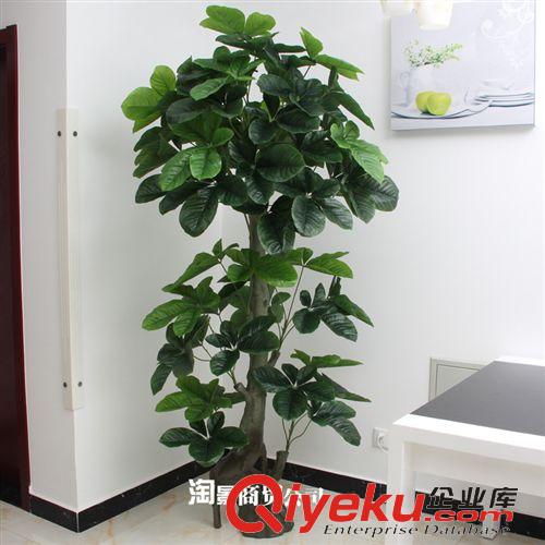 新品上市 新品tj批發(fā)仿真植物 仿真盆景 塑料 過(guò)膠葉 2.1米新古龍福星樹(shù)原始圖片3