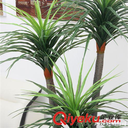新品上市 新品上市tj批發(fā)仿真植物 落地 工藝 塑料 1.7米三桿龍血鐵原始圖片2