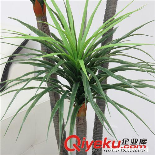 新品上市 新品上市tj批發(fā)仿真植物 落地 工藝 塑料 1.7米三桿龍血鐵原始圖片3