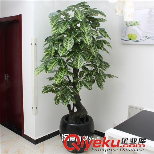 新品上市 大量批發(fā)仿真植物 假花假樹(shù) 商城擺放 tj批發(fā) 1.8米OK福星樹(shù)