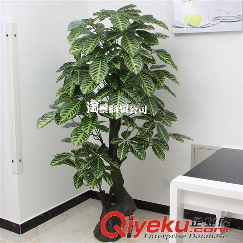 新品上市 大量批發(fā)仿真植物 假花假樹(shù) 商城擺放 tj批發(fā) 1.8米OK福星樹(shù)原始圖片2