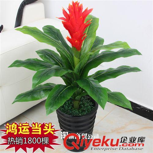 新品上市 大量批發(fā)仿真植物 假花假樹(shù) 商城擺放 tj批發(fā) 1.8米OK福星樹(shù)