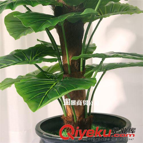 最熱銷仿真植物 廠家直銷大型仿真植物盆栽 開業(yè)送禮綠色喜慶樹1.4米包棕綠蘿批發(fā)原始圖片3