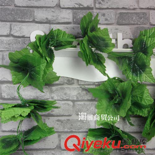 壁掛花條 特價(jià)供應(yīng)仿真植物 居家仿真藤條花 裝飾花條批發(fā) 15組葡萄葉1包原始圖片2