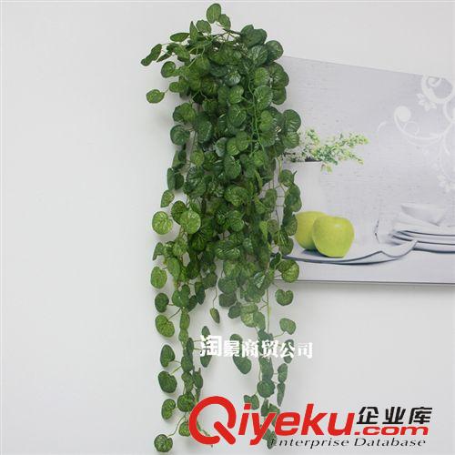 壁掛花條 批發(fā)仿真把束掛藤吊蘭常青藤花藝綠植長條墻壁假花 小壁掛1枝原始圖片2