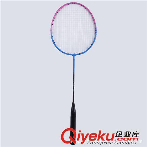 羽毛球?qū)^(qū) 【廠家直銷】廠家專業(yè)生產(chǎn)高質(zhì)量全碳羽毛球拍加工定做批發(fā)原始圖片2