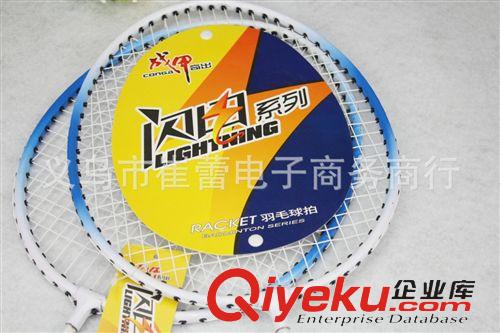 羽毛球?qū)^(qū) 戰(zhàn)甲羽毛球拍 zp體育用品 家用2支套裝送3球 扣殺強(qiáng)勁 疾如閃電原始圖片2