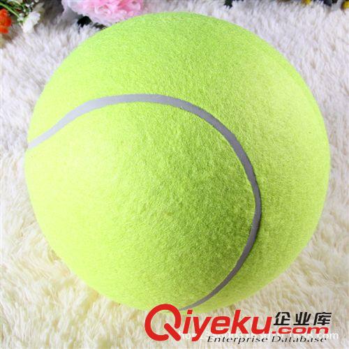 網(wǎng)球?qū)^(qū) 網(wǎng)球廠家2015新款網(wǎng)球拍兒童網(wǎng)球拍 分體拍 碳素纖維網(wǎng)球拍批發(fā)
