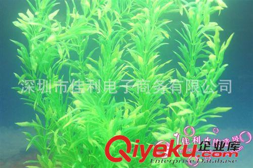 精品推薦 供應水族箱魚缸造景裝飾仿真水草 多種品種仿真水草長綠草T001原始圖片3