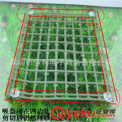 仿真草坪 供應草坪專用草坪吸盤 蘑菇頭吸盤 建議一張草坪用4個XP001原始圖片3