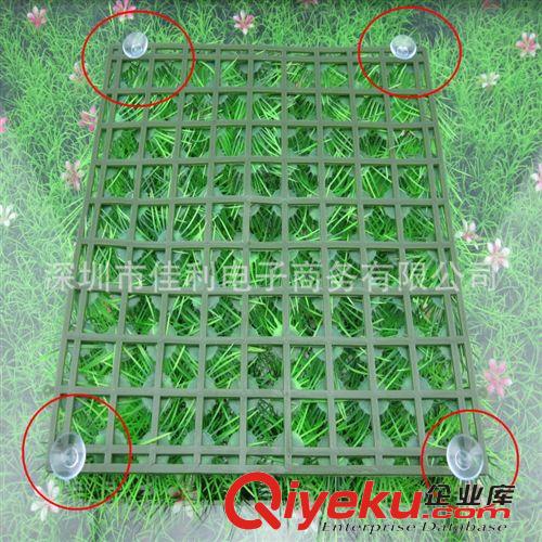仿真草坪 批發(fā)供應(yīng)塑料仿真草坪草皮 假草坪 戶外仿真景觀草坪AO13B原始圖片2