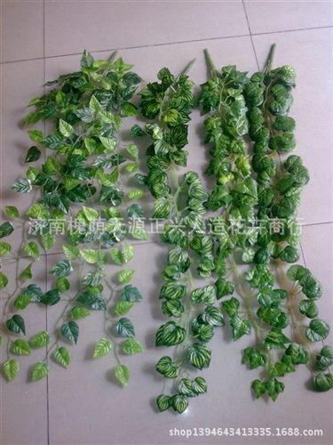 壁掛葉 仿真葡萄葉花藤地瓜葉常春藤藤條塑料壁掛批發(fā)影樓布景