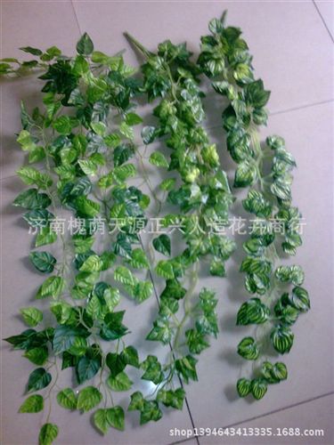 壁掛葉 仿真葡萄葉花藤地瓜葉常春藤藤條塑料壁掛批發影樓布景