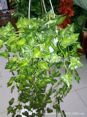 壁掛葉 仿真葡萄葉花藤地瓜葉常春藤藤條塑料壁掛批發影樓布景