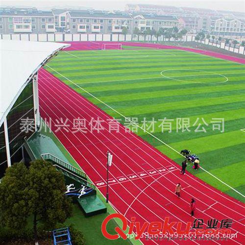 塑料地板 幼兒園塑膠操場顆粒 彩色塑膠顆粒 epdm彩色橡膠顆粒 epdm顆粒