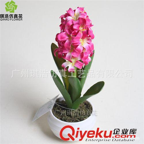 樹  小植物  掛藤 供應新品綠植夜水仙  創意室內裝飾小景物盆栽批發 廠家直銷