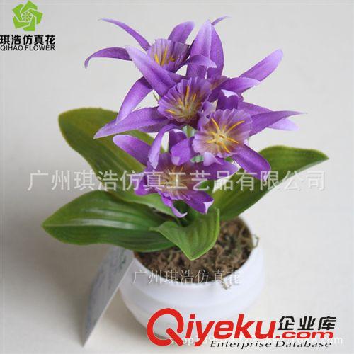 樹  小植物  掛藤 新品2比星花  供應優質塑膠花卉綠色小植物盆景 室內可裝飾物